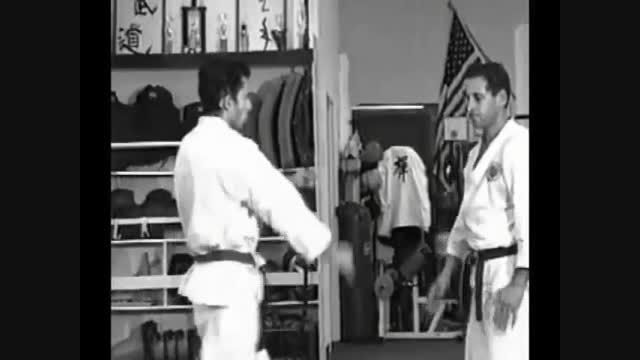 آموزش دفاع رزمی [شورینجی ریو کاراته کوبوجوتسو] شماره ۳۹