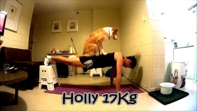 ورزش کردن با همراهی سگ خانگی