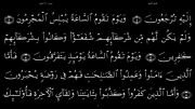 القرآن الکریم - 30 - سورة الروم - سعد الغامدی