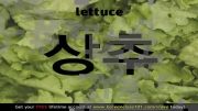 آموزش زبان کره ای (یادگیری لغات با عکس؛ سبزیجات)