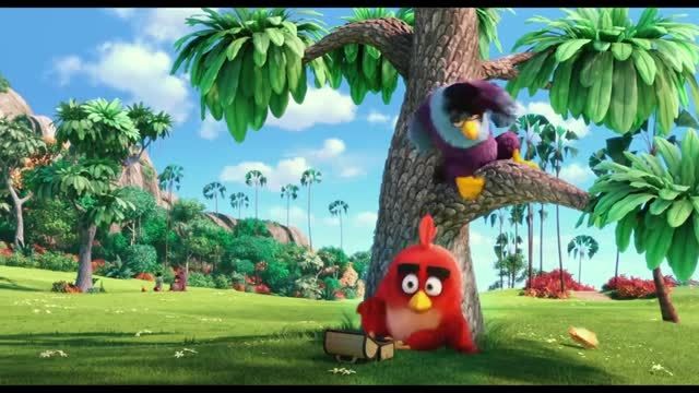 Angry Birds 2016 trailer