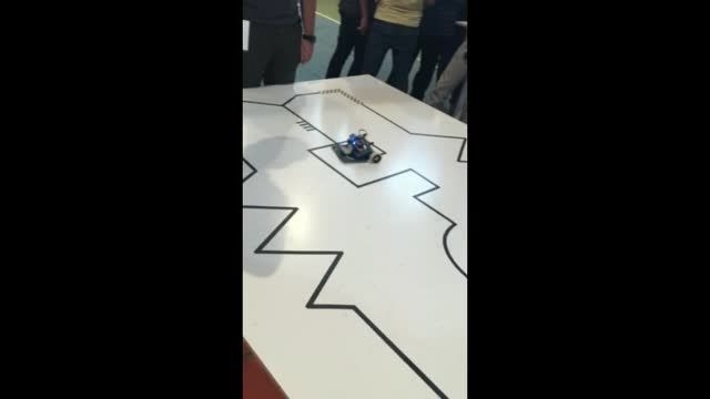 ربات مسیر یاب