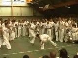 پارکور bebin کاپوئرا in capoeira hast