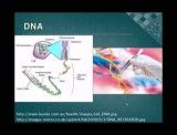 ایزولاسیون DNA