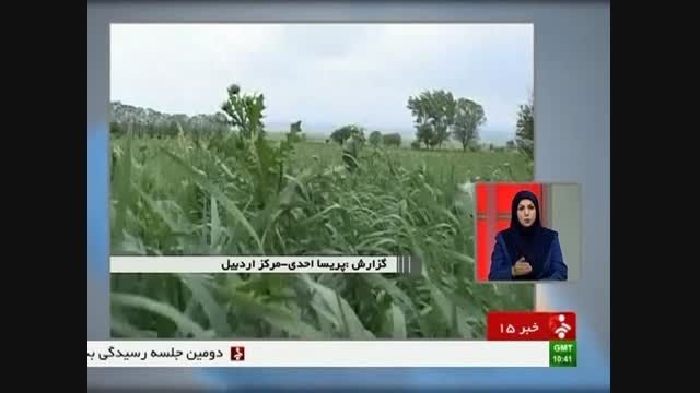 تنوع گیاه های دارویی ایران - اردبیل