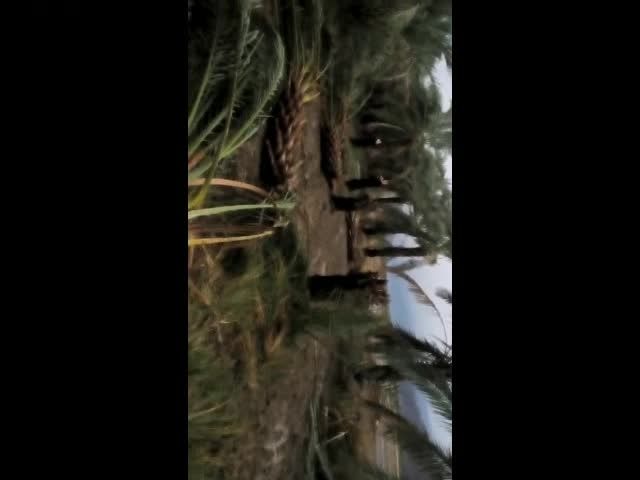خسارات طوفان - فاریاب