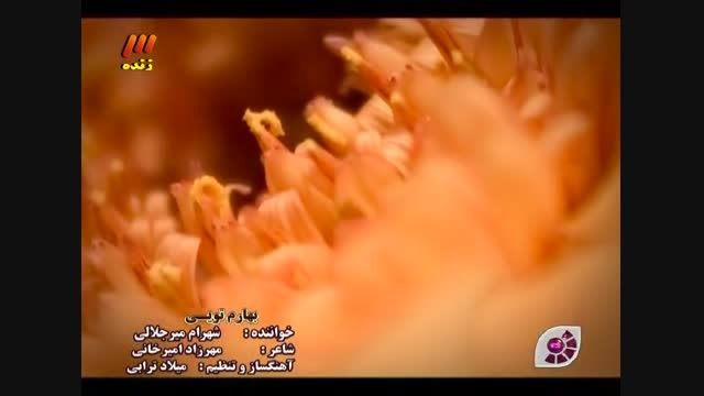 شهرام میرجلالی - بهارم تویی (گلخانه)