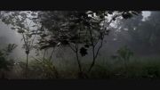 موزیک ویدیو حماسی و زیبای فیلم خط سرخ باریک-خط مقدم