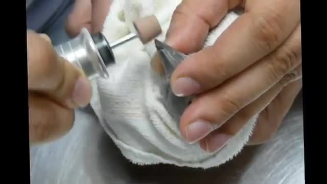 روش کوتاه کردن ناخن طوطی سنگال