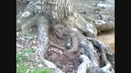 ریشه درختی به شکل یک زن
