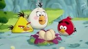 angry birds toons|2013|قسمت پنج
