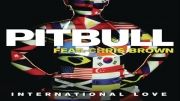 Pitbull Feat Chris Brown International Love