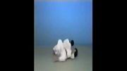 Uchi Makikomi - 65 Throws of Kodokan Judo