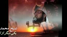 شیخ محمد صالح خردنیا(از اسباب استقامت در دین (3) تدرج