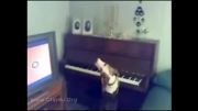 سگ خواننده ب همراه پیانو..