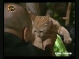عطاران دنبال مواد میگرده یقه گربه را میگیره!!