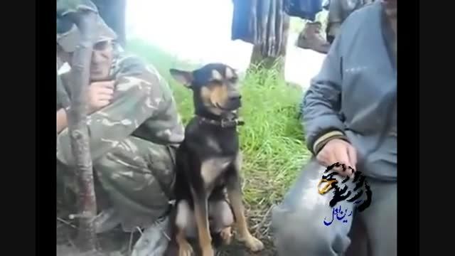 سگ خوابالو ارتشی
