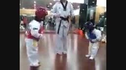جوجه کاراته کا