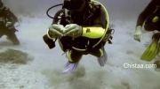 غوطه ور شدن تخم مرغ در عمق ۳۲ متری زیر آب