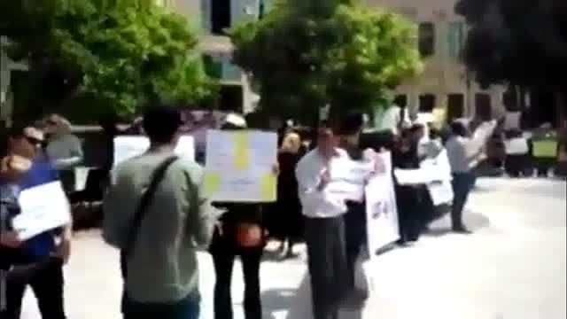 تجمع اعتراض به سگ کشی در مقابل شهرداری شیراز