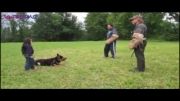 دفاع سگ تربیت شده از صاحب پنج ساله