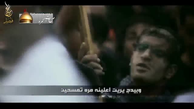 نوحیة حسین فیصل - سجلینه یا زهرا