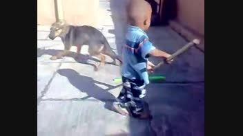 دعوای سگ با بچه!!خیلی دیدنیه