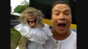 مسابقه ی جیغ آدم !!! و میمون