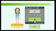 Wii Fit for wii