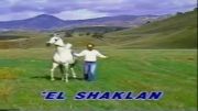 اسب The Legend El Shaklan