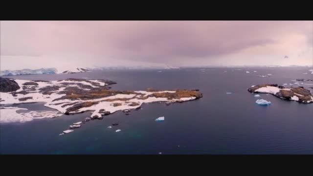 تصاویری حیرت انگیز از قطب جنوب
