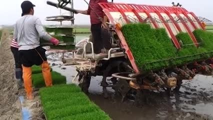 تکنولوژی جدید کشاورزی    برنجکاری=rizokulturo