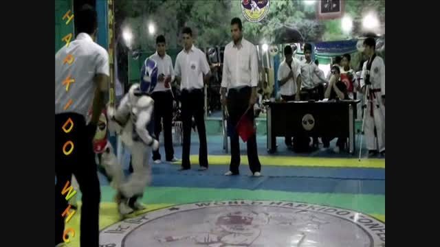 hapkido whc