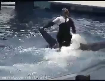رقص نهنگ با آدم