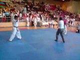 Ipon Kyokushin karate