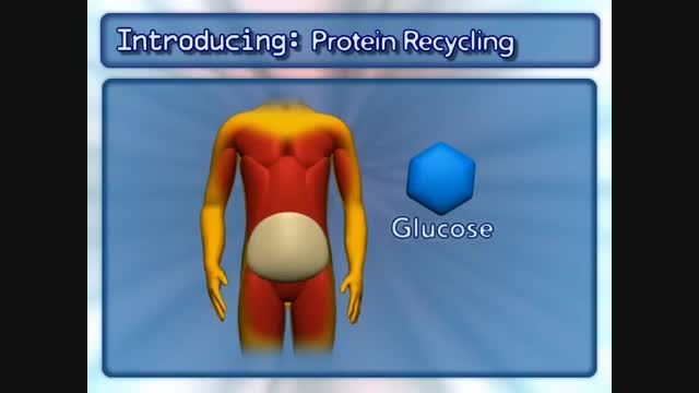 protein recycling