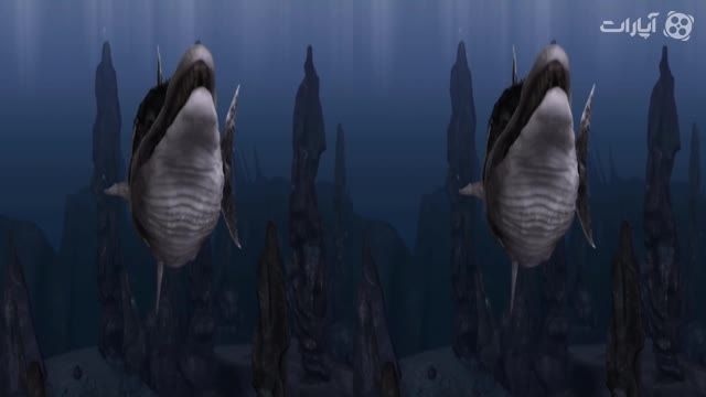 قسمت کوتاه انیمیشن سه بعدی  The Dolphin Story  2009 3D