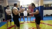 DIYACO MMA دو خم سرو در کلیه مبارزات