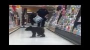 یک خرس در سوپرمارکتی در امریکا