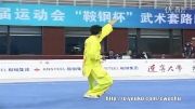 ووشو ، مسابقات داخلی چین فینال تیجی چوون ، مقام 5ام