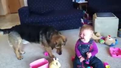بازی کودک و سگ با حباب