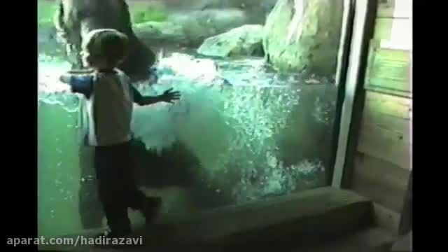 عکسل العمل بچه ها در باغ وحش