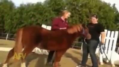 اسب سواری یک دختر :))