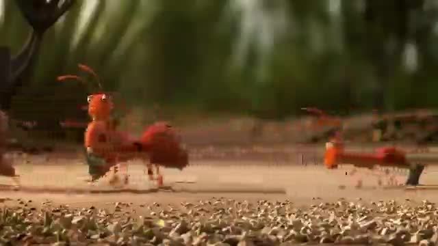 انیمیشن کوتاه مورچه ها