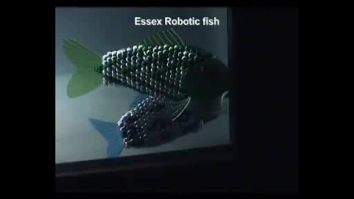 ربات ماهی نما