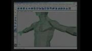 آموزش مدلسازی اناتومی بدن در مایا 4Human  Anatomy   modeling