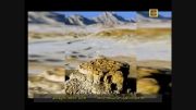 کوه های مریخی دا در ایران ببینید