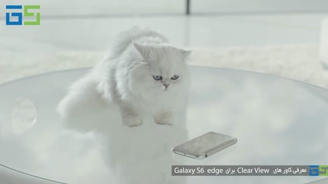 استفاده از گربه ایرانی در تبلیغ کاورهای Galaxy S6 !