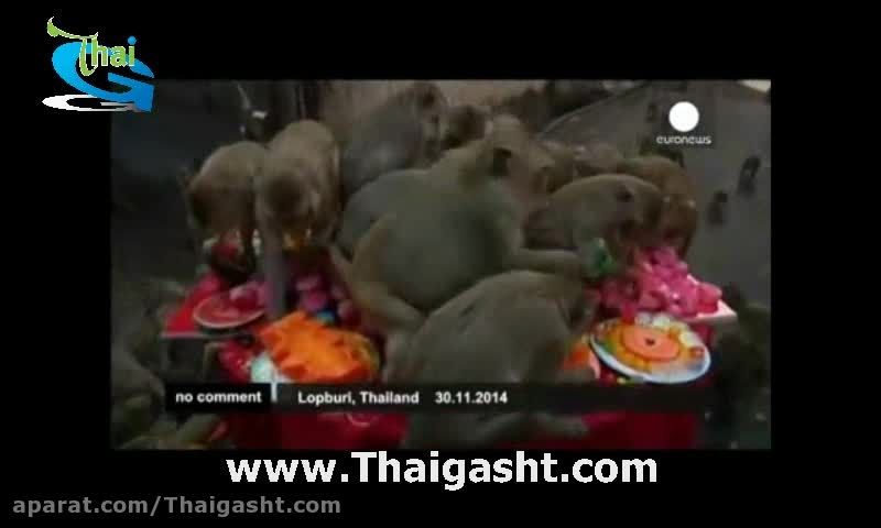 معبد میمونها در تایلند (www.Thaigasht.com)