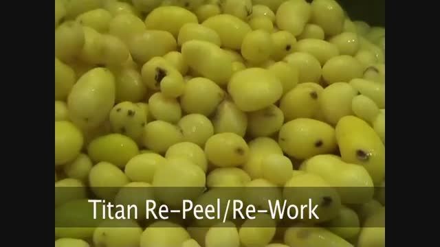 سورت سیب زمینی پوست کنی شده توسط سورتر Titan